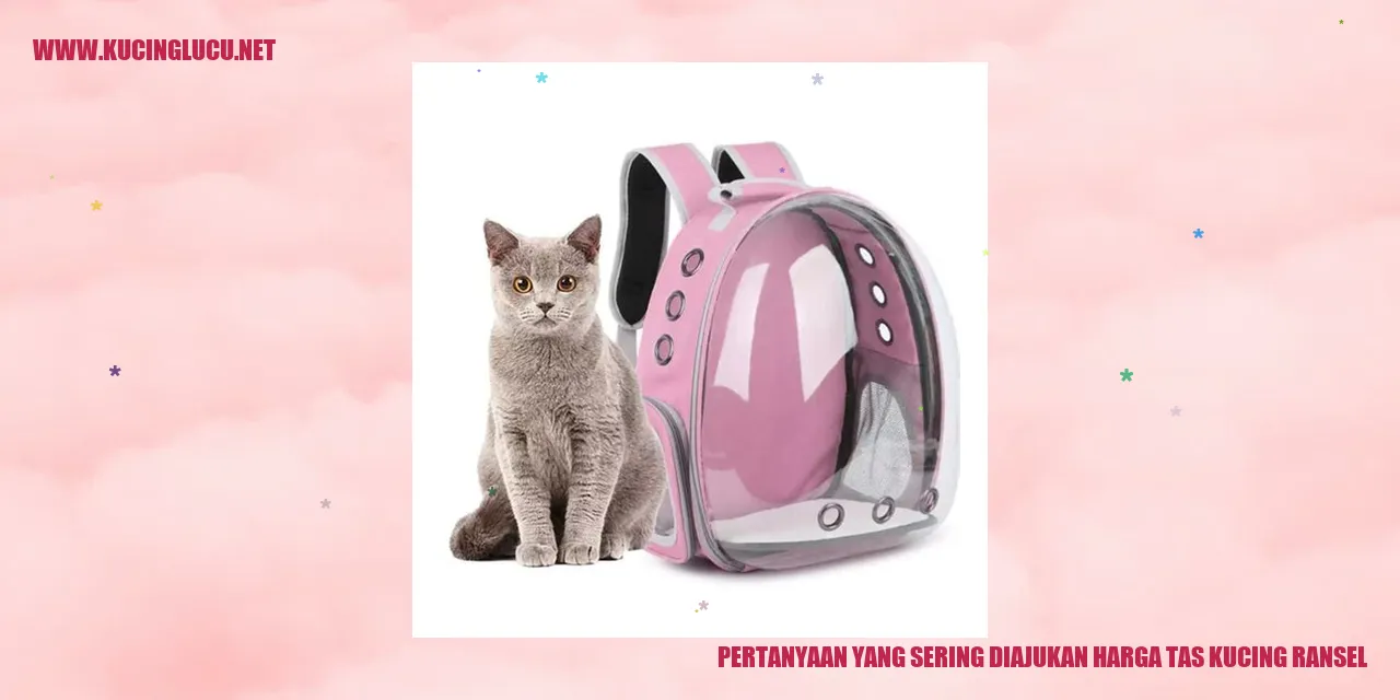 Tas Kucing Ransel