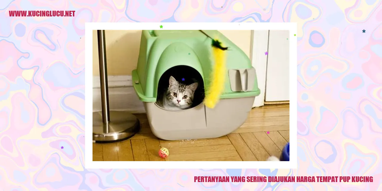 Gambar kucing di tempat pup