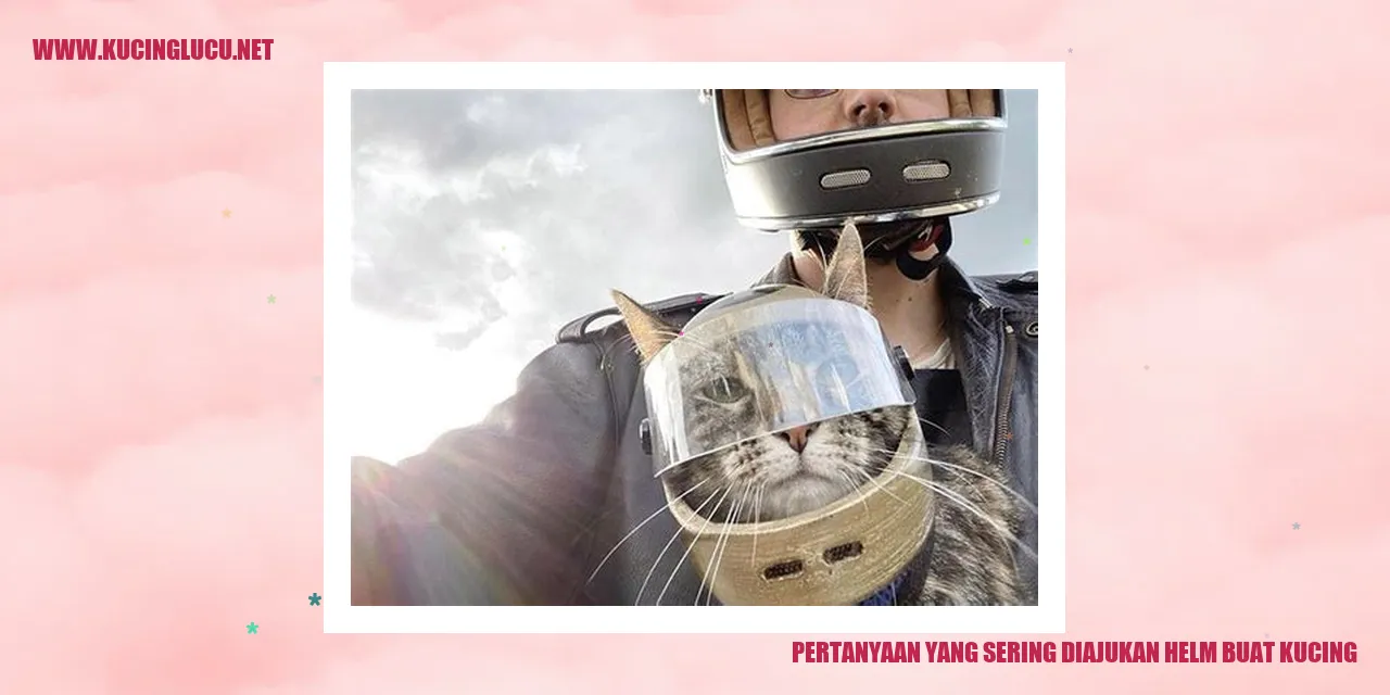 Pertanyaan yang Sering Diajukan helm buat kucing