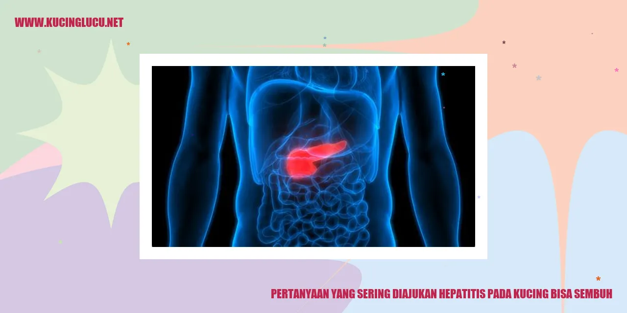 Gambar Hepatitis pada Kucing