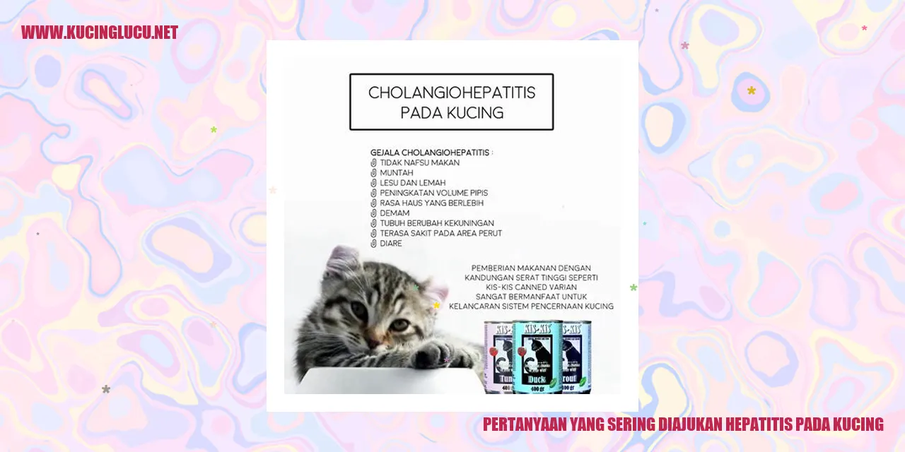 Pertanyaan yang Sering Diajukan hepatitis pada kucing