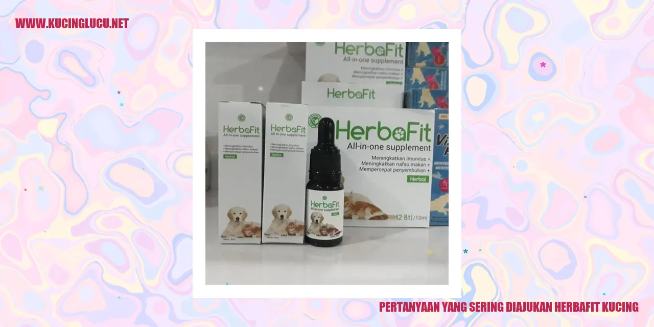 Pertanyaan yang Sering Diajukan herbafit kucing