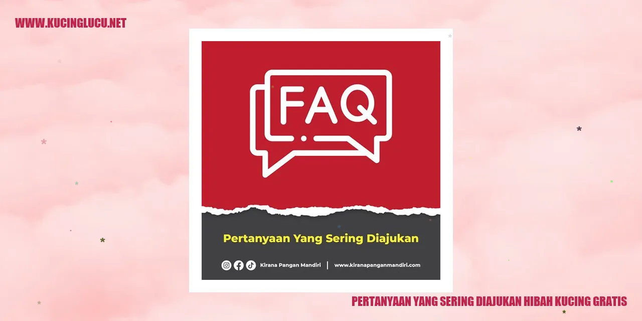Gambar Kucing