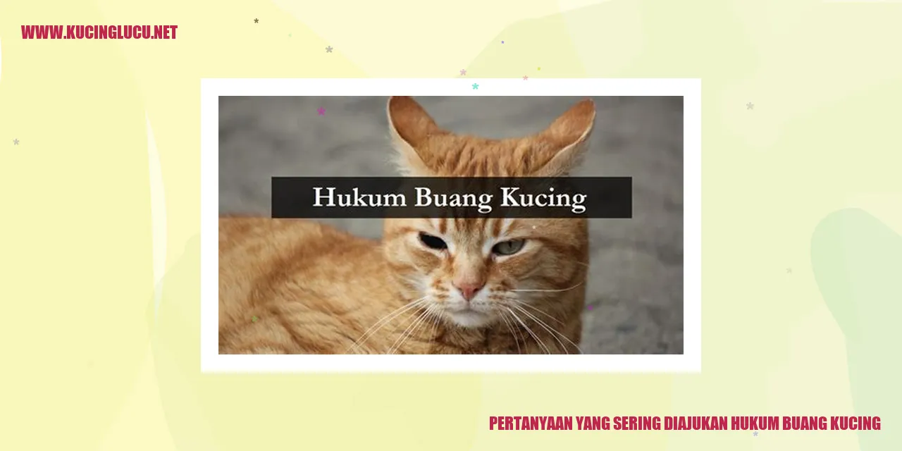 Gambar sedihnya seekor kucing