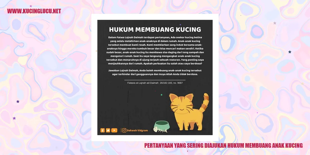 Gambar anak kucing yang terbuang