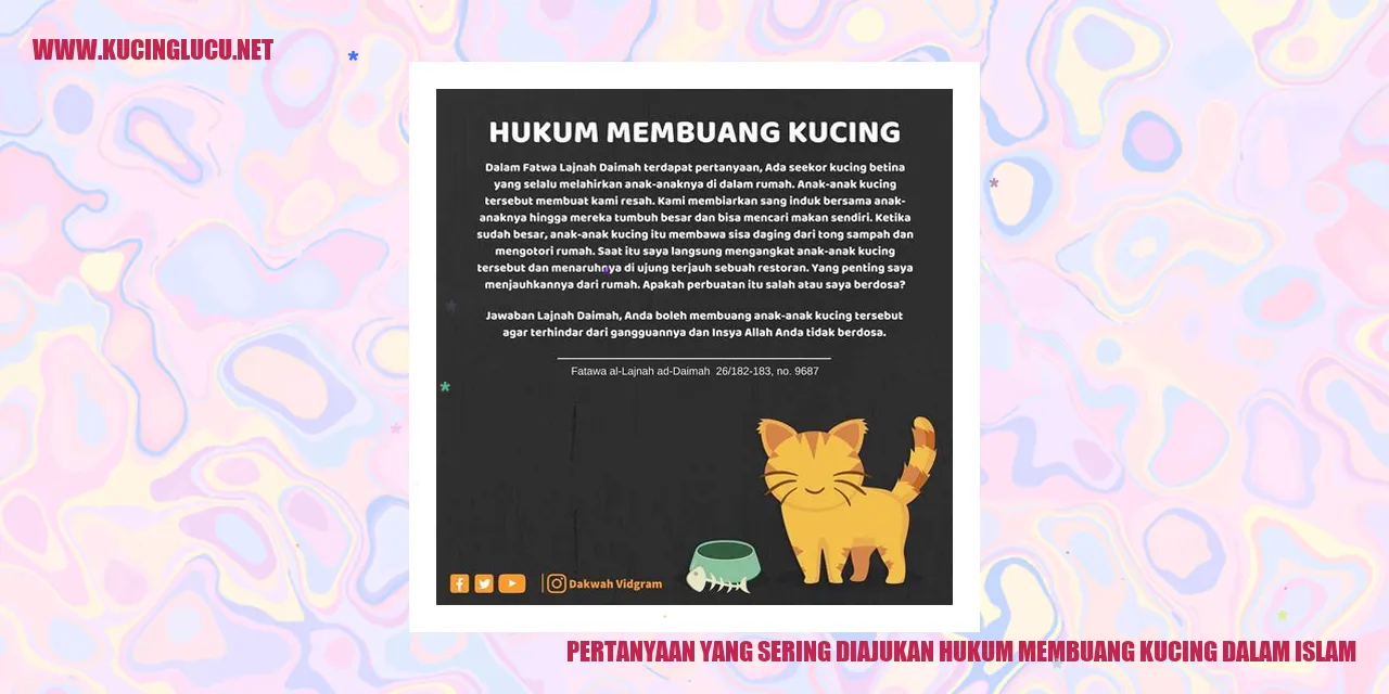 Kucing dalam Islam