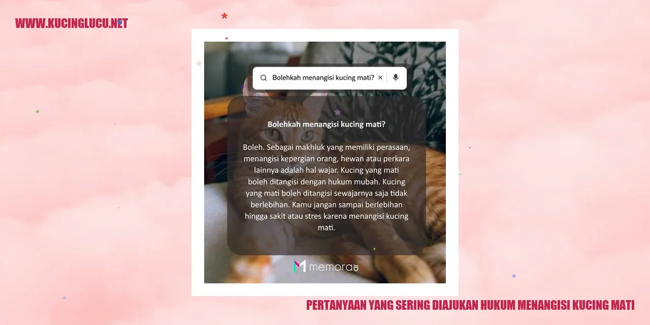 Gambar kucing