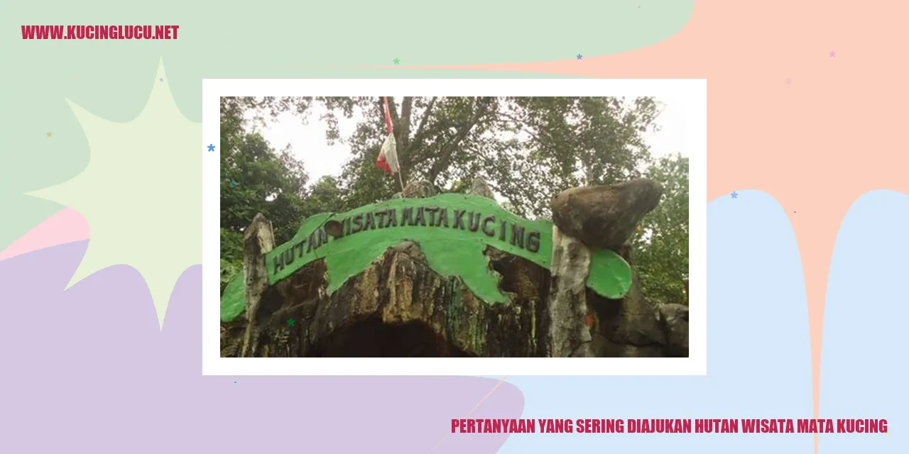 Gambar Hutan Wisata Mata Kucing