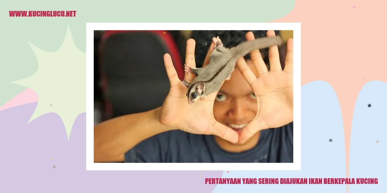 Ikan berkepala kucing