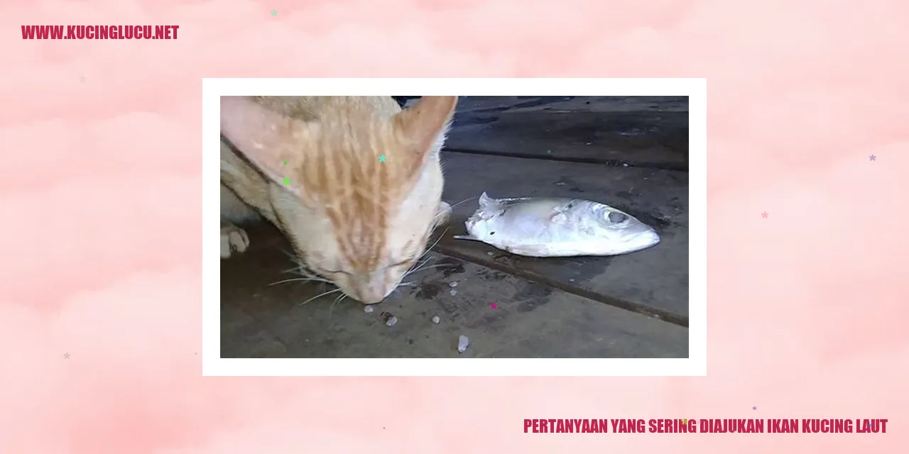 ikan kucing laut