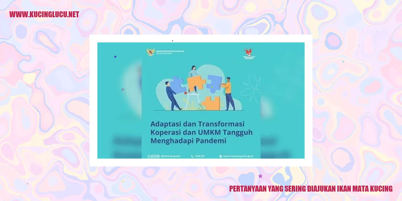 Ikan Mata Kucing