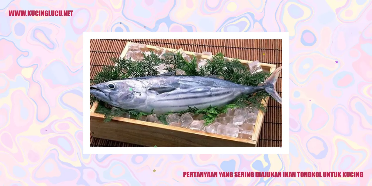Pertanyaan yang Sering Diajukan ikan tongkol untuk kucing