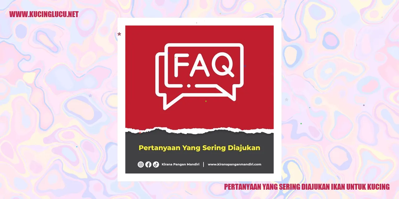 Gambar Kucing