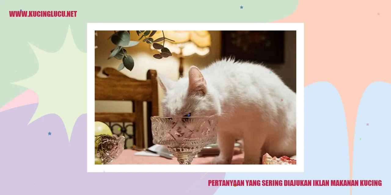 pertanyaan yang sering diajukan tentang iklan makanan kucing