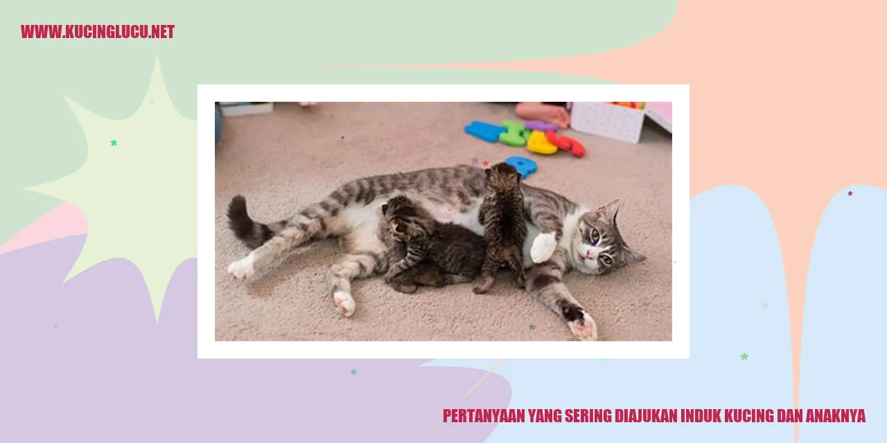 induk kucing dan anaknya