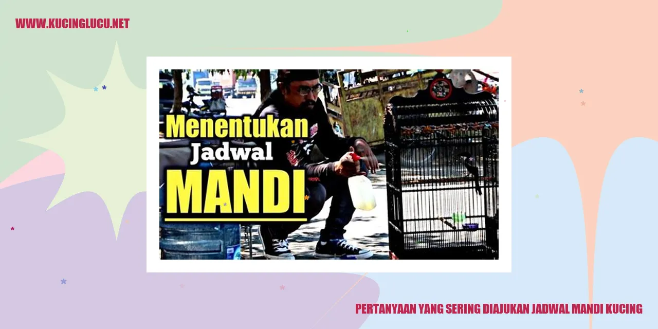 Gambar Kucing Mandi