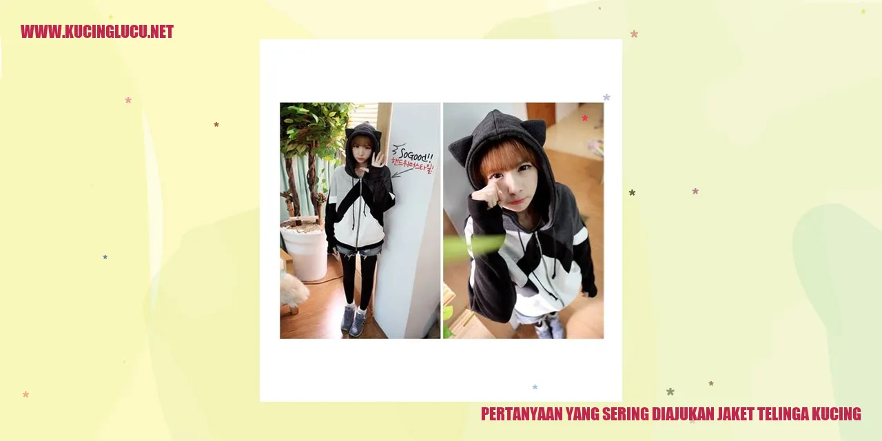 Pertanyaan yang Sering Ditanyakan Mengenai Jaket Telinga Kucing