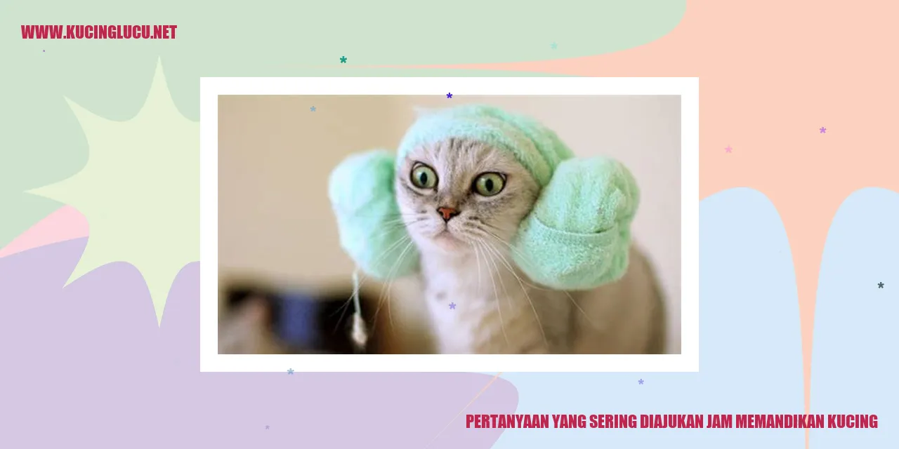 Pertanyaan yang Sering Diajukan saat Memandikan Kucing