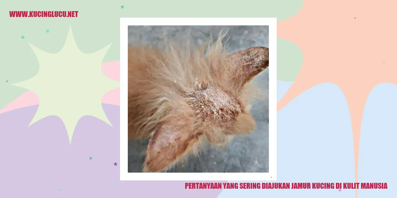 Pertanyaan yang Sering Diajukan jamur kucing di kulit manusia