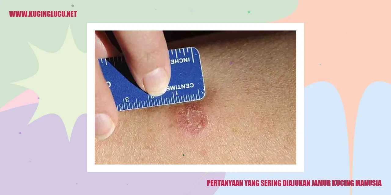 Jamur Kucing Manusia