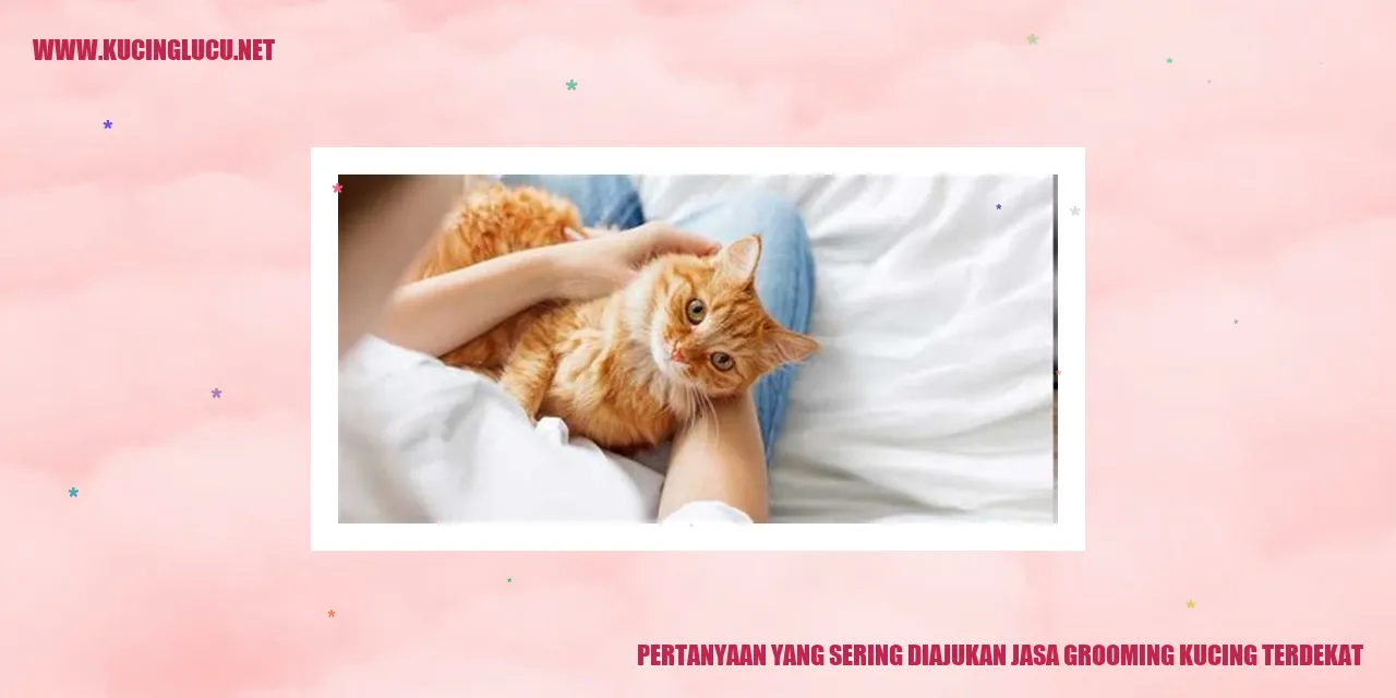 Layanan Grooming Kucing Terdekat