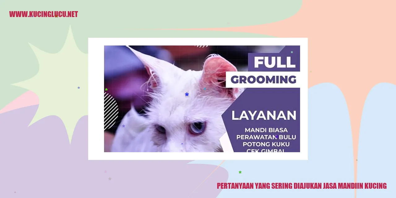Pertanyaan yang Sering Ditanyakan Mengenai Jasa Mandi Kucing