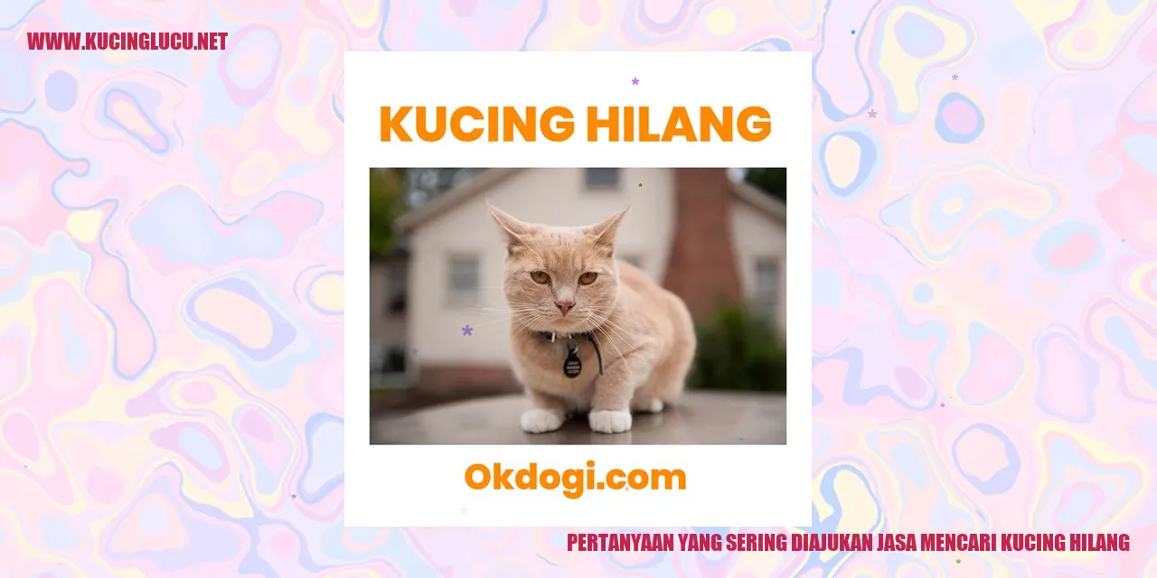 Pertanyaan yang Sering Diajukan jasa mencari kucing hilang
