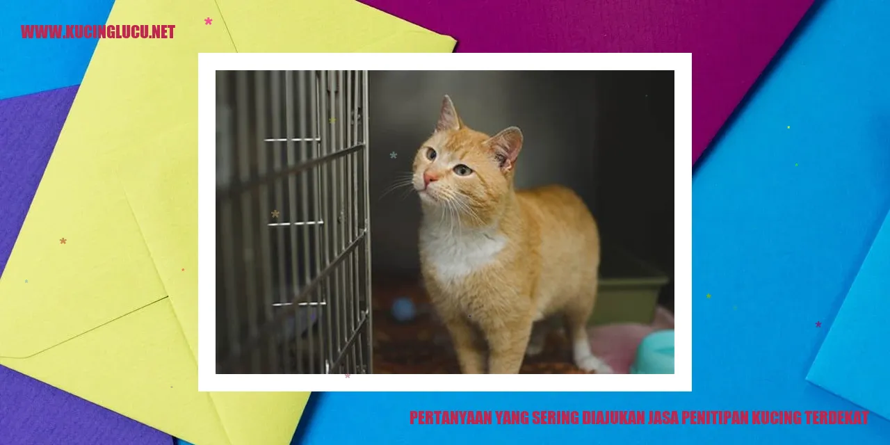 Pertanyaan yang Sering Diajukan jasa penitipan kucing terdekat