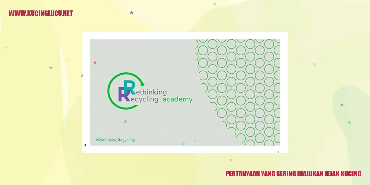Ilustrasi Jejak Kucing