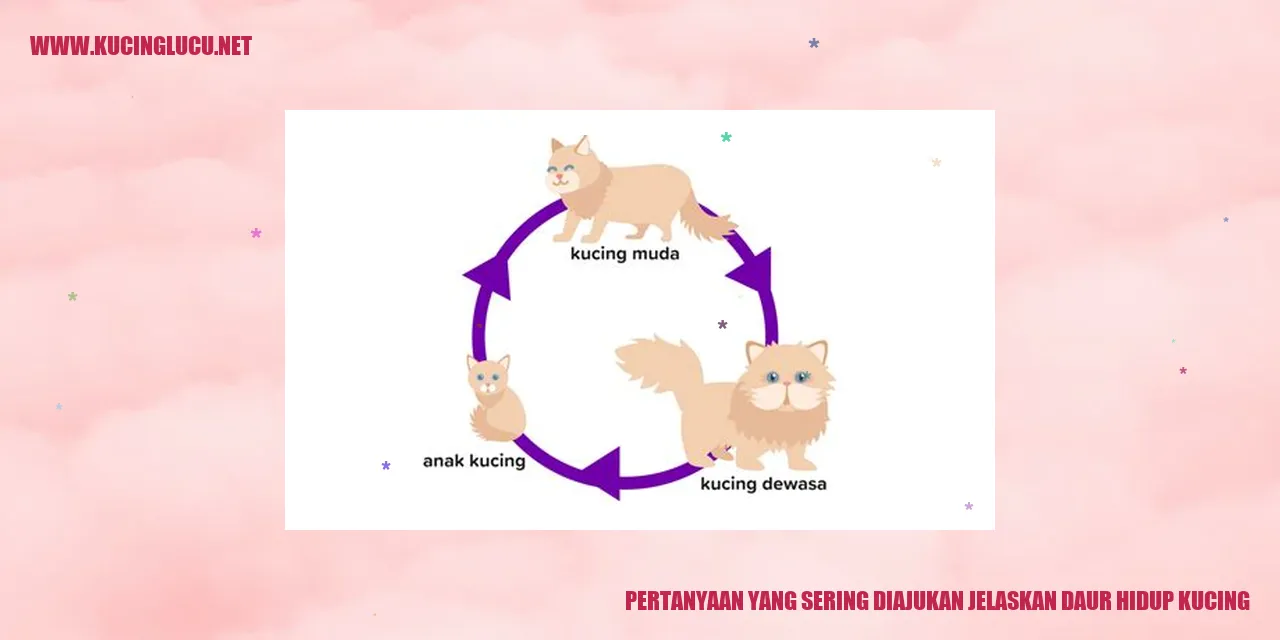 Ilustrasi Kucing