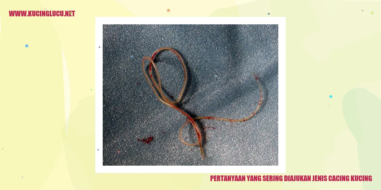 Cacing Kucing