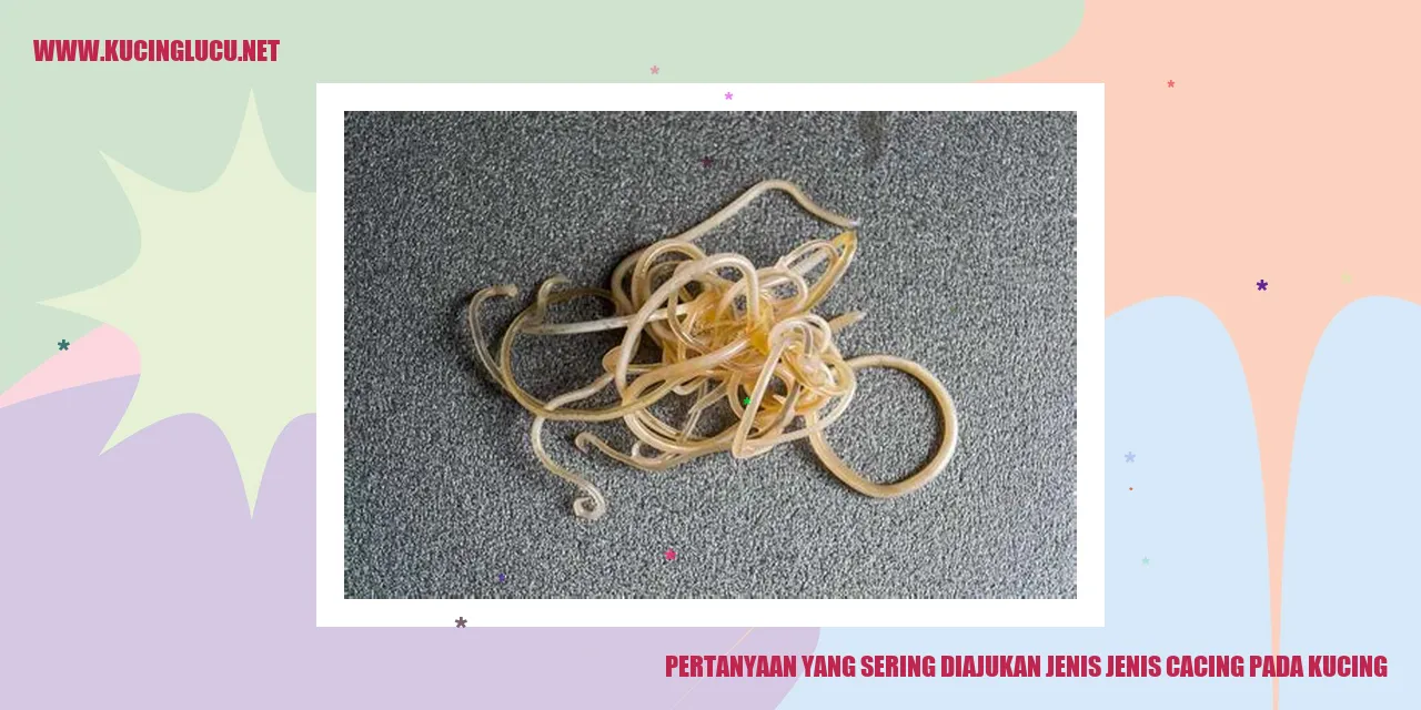 Gambar Pertanyaan tentang Jenis-jenis Cacing pada Kucing