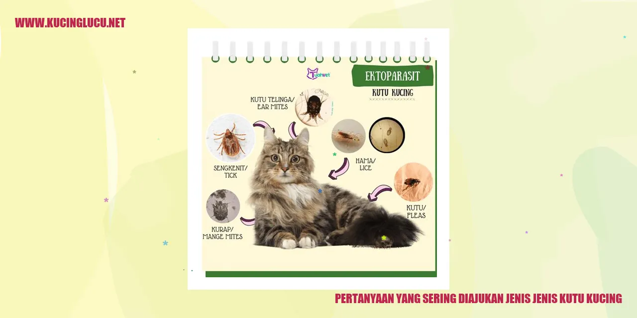 gambar kutu kucing