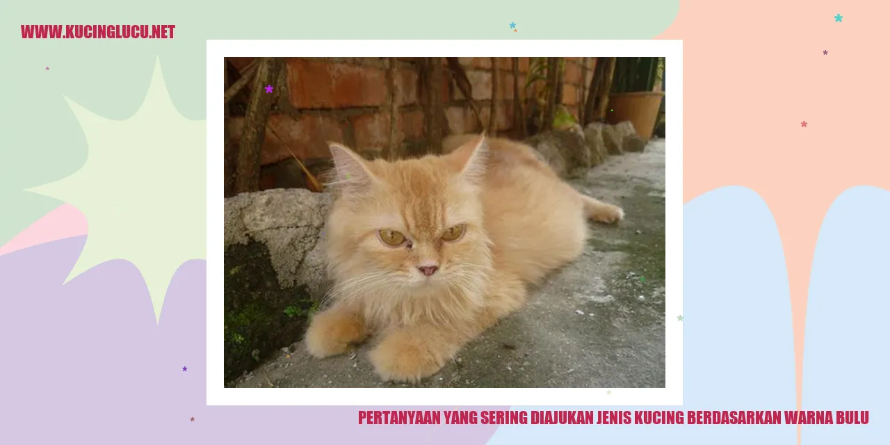 Pertanyaan yang Sering Diajukan jenis kucing berdasarkan warna bulu
