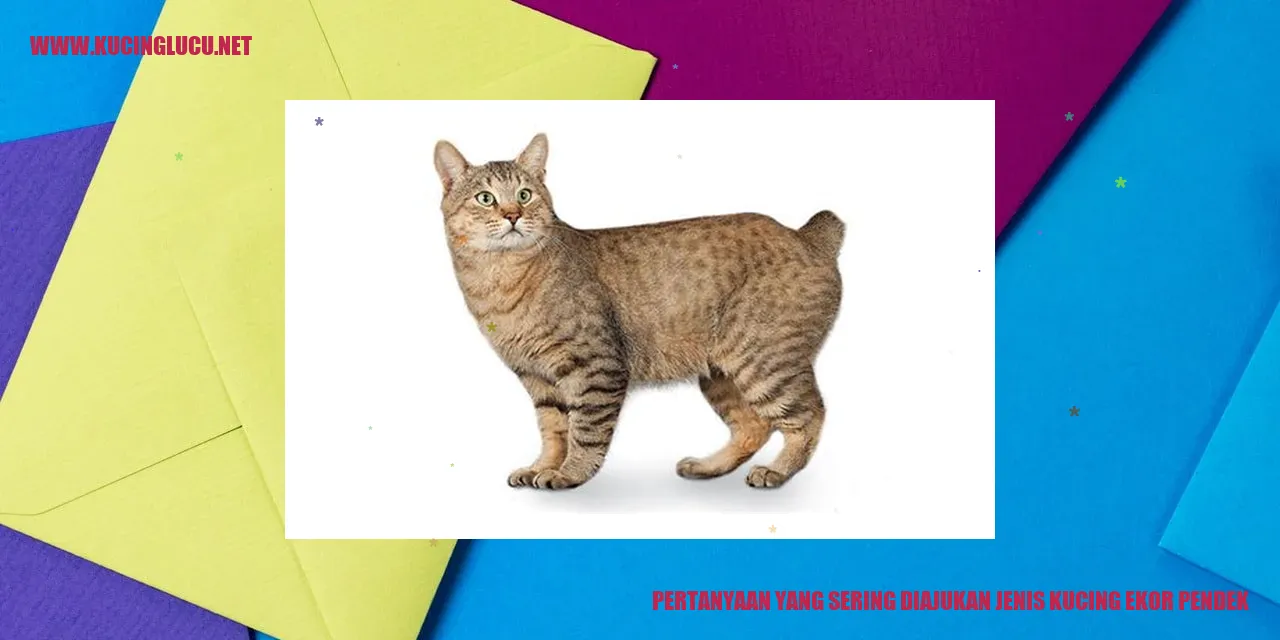 Pertanyaan yang Sering Diajukan Mengenai Kucing Ekor Pendek