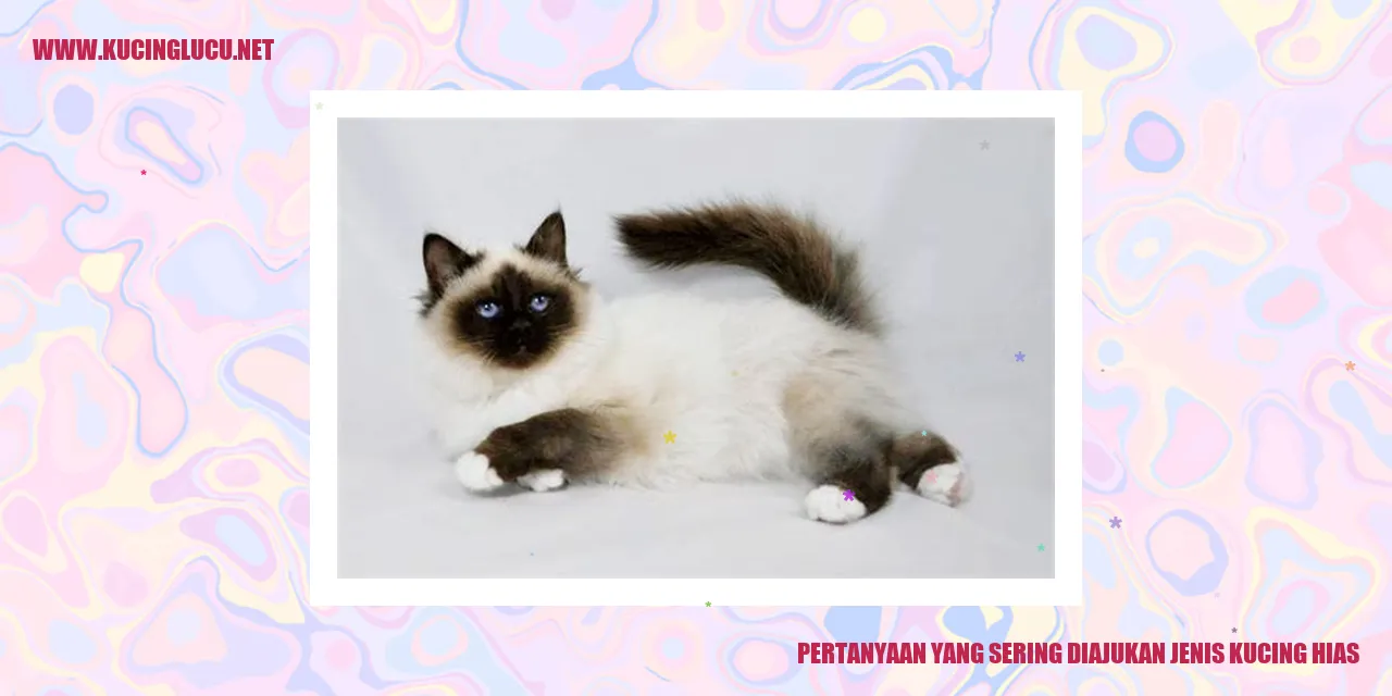 Pertanyaan yang Sering Ditanyakan tentang Jenis Kucing Hias