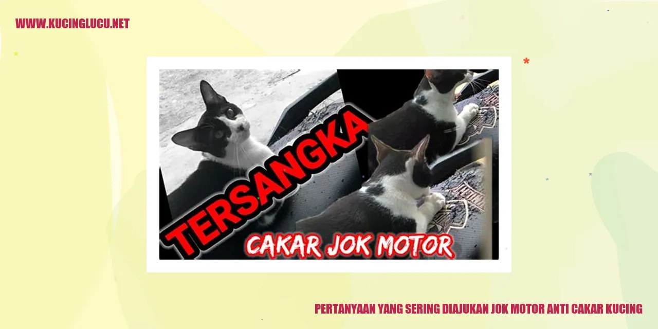 Pertanyaan yang Sering Diajukan jok motor anti cakar kucing