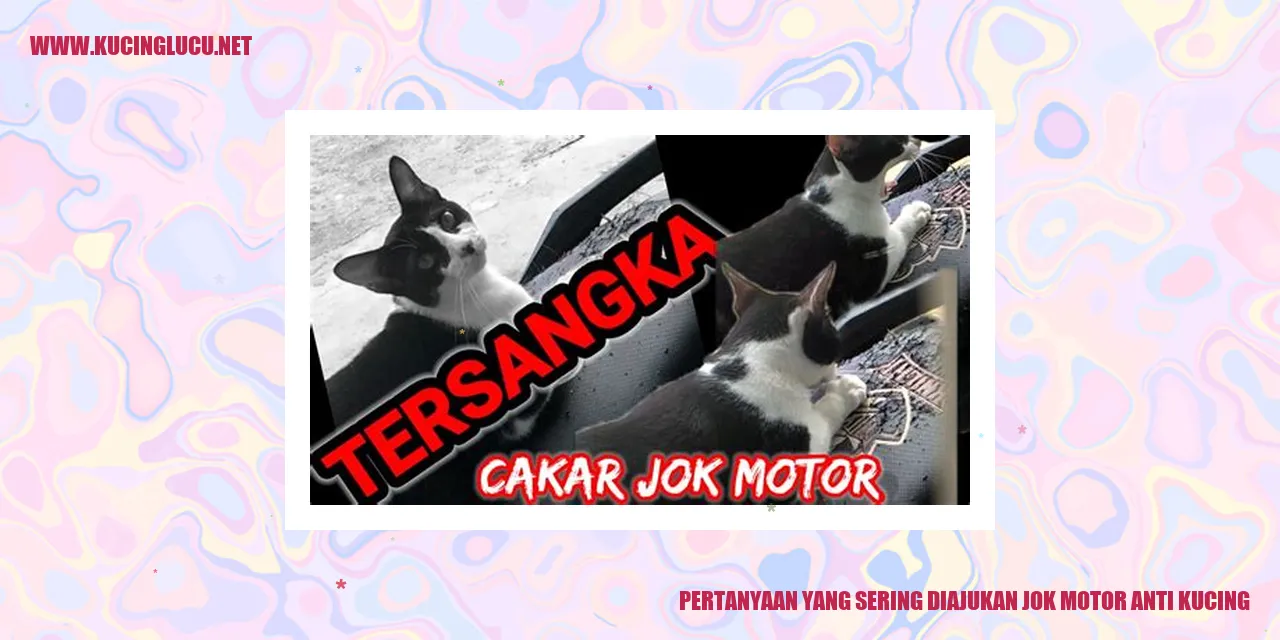 Jok Motor Anti Kucing
