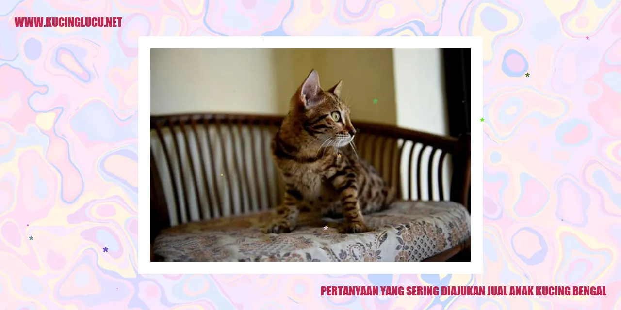 Pertanyaan yang Sering Diajukan