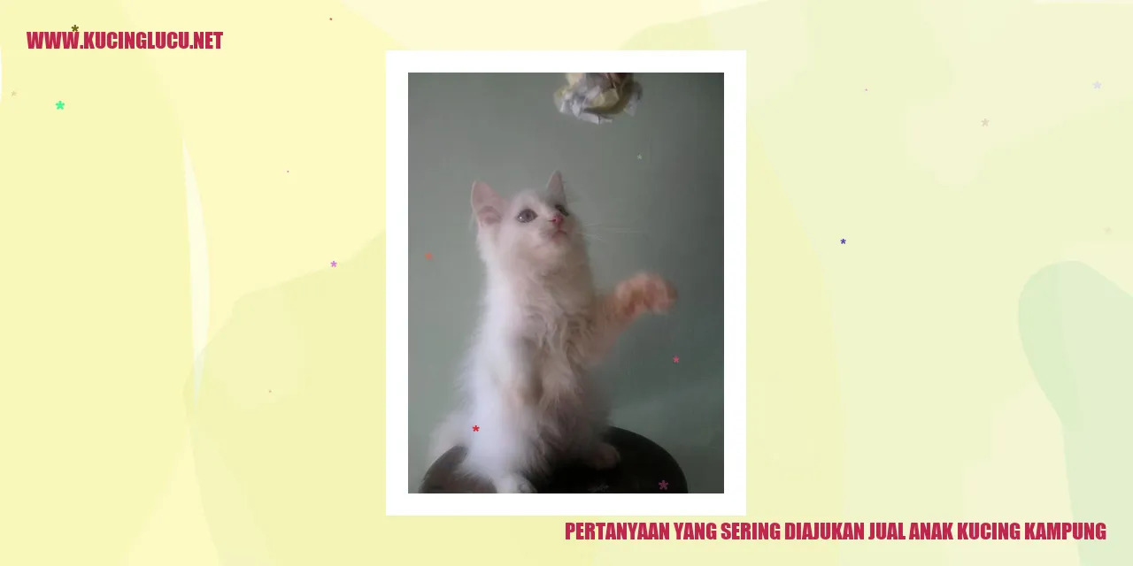 Gambar Pertanyaan yang Sering Ditanyakan tentang Jual Anak Kucing Lokal