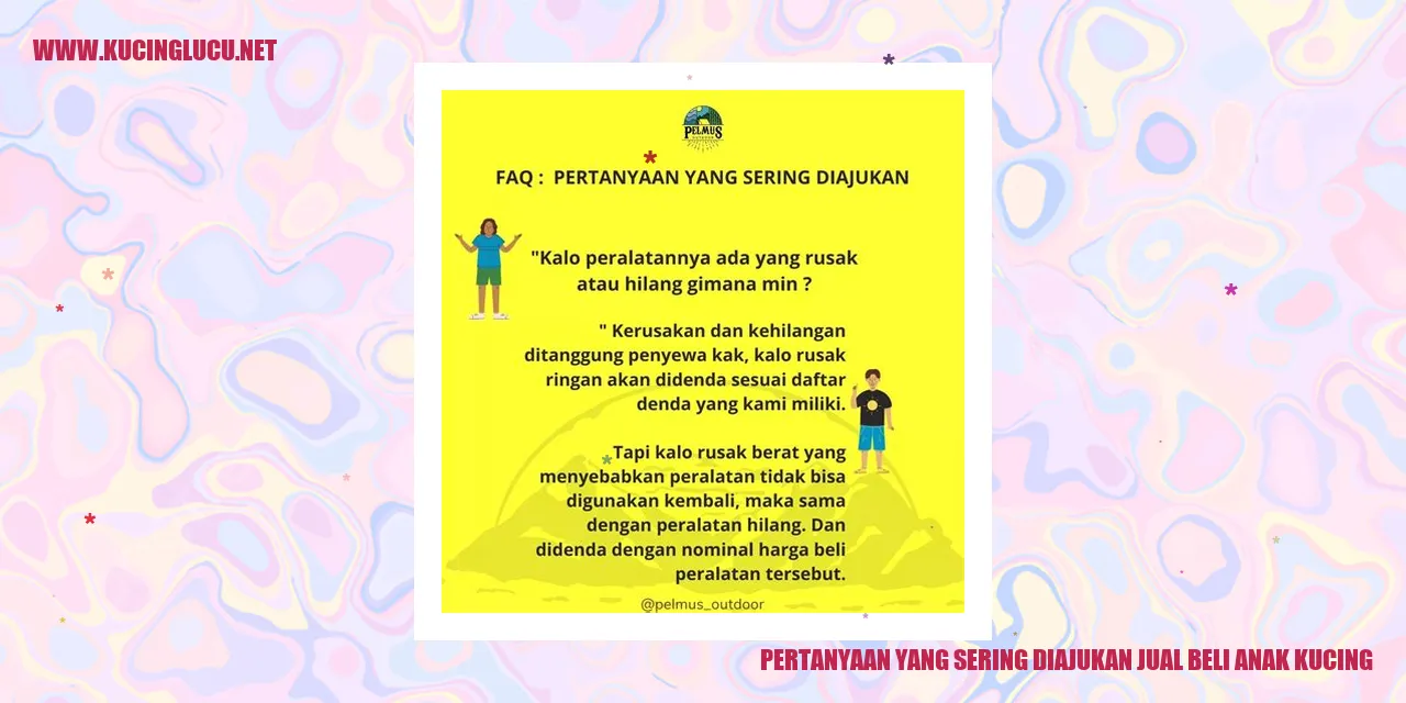 Pertanyaan yang Sering Diajukan jual beli anak kucing