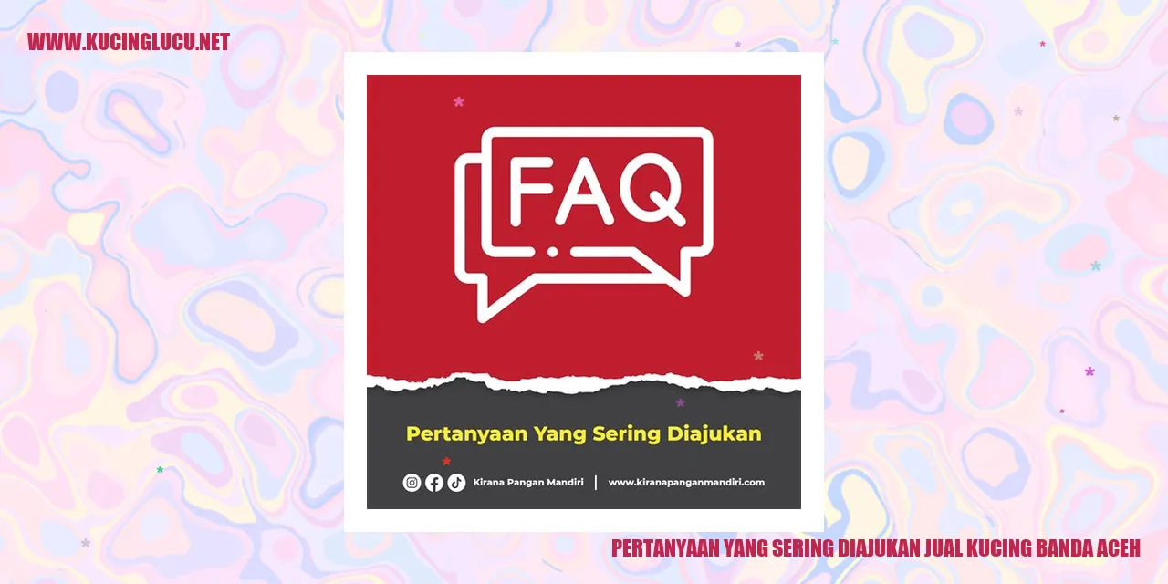 Pertanyaan yang Sering Diajukan jual kucing banda aceh