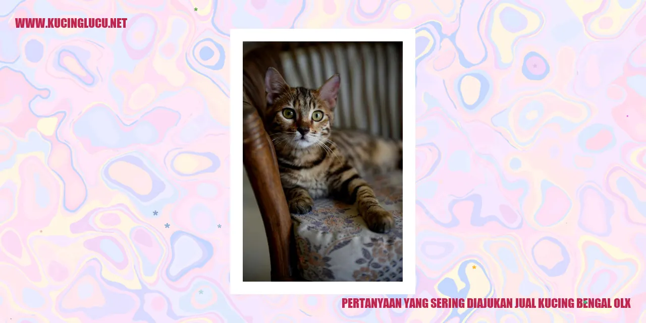 Pertanyaan yang Sering Diajukan jual kucing bengal olx