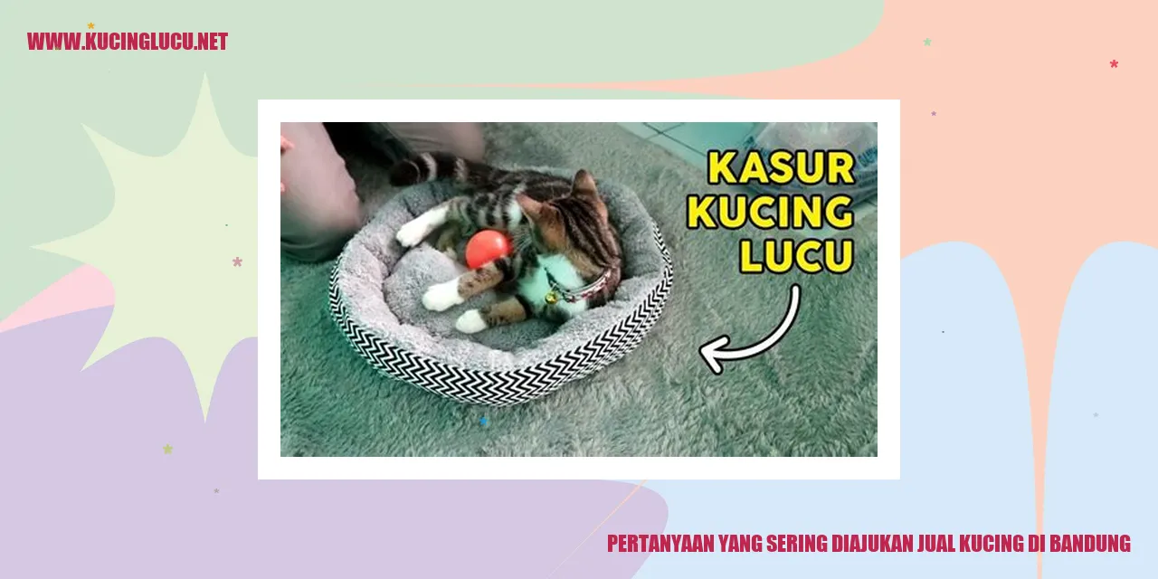 Pertanyaan yang Sering Diajukan tentang Jual Kucing di Bandung