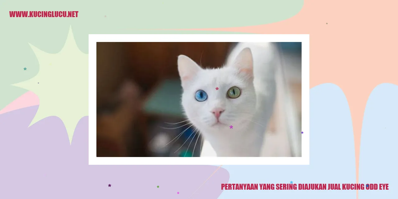 Ilustrasi Kucing Odd Eye