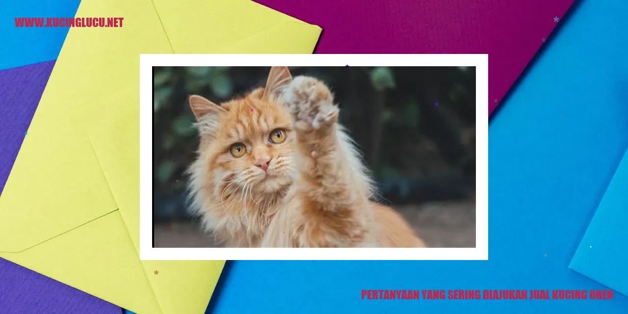 Kucing Oren yang Sering Dijual