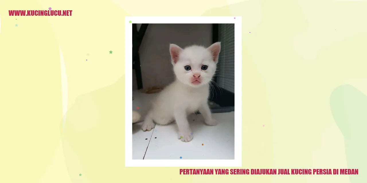 Pertanyaan yang Sering Diajukan jual kucing persia di medan