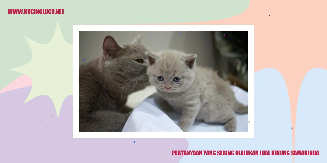 Pertanyaan yang Sering Diajukan jual kucing samarinda