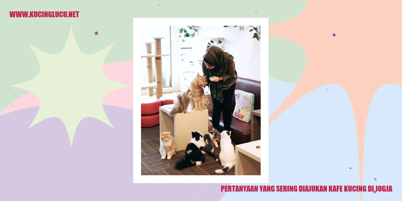 Pertanyaan yang Sering Diajukan Kafe Kucing di Jogja
