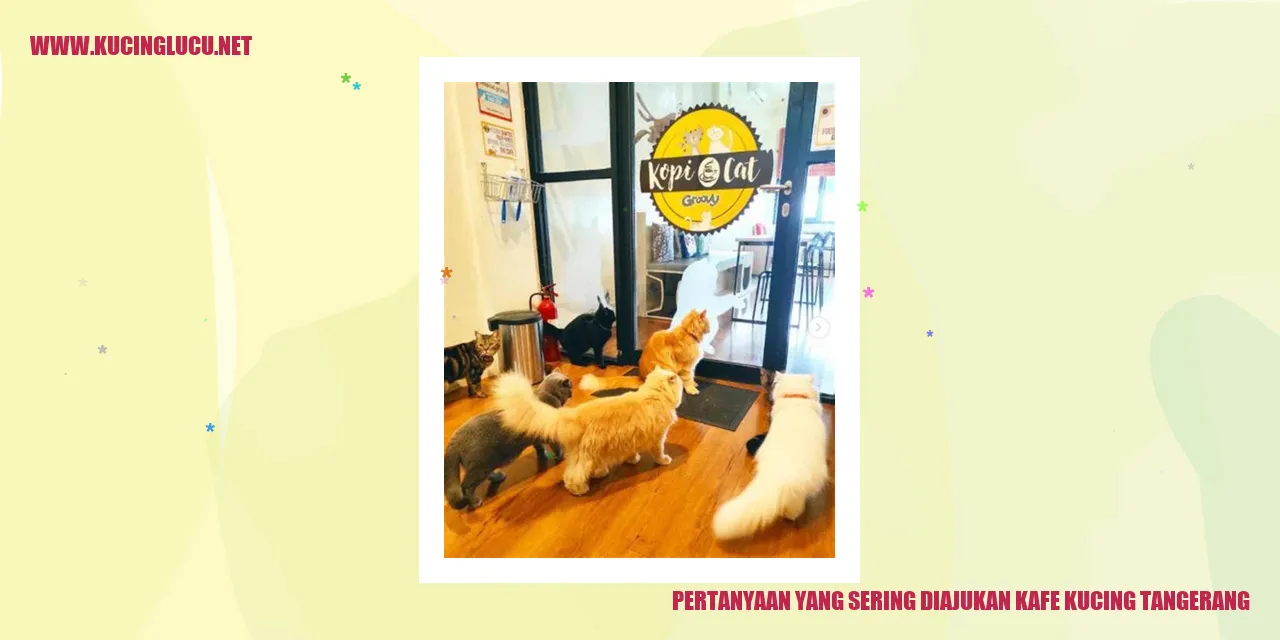 Pertanyaan yang Sering Diajukan kafe kucing tangerang